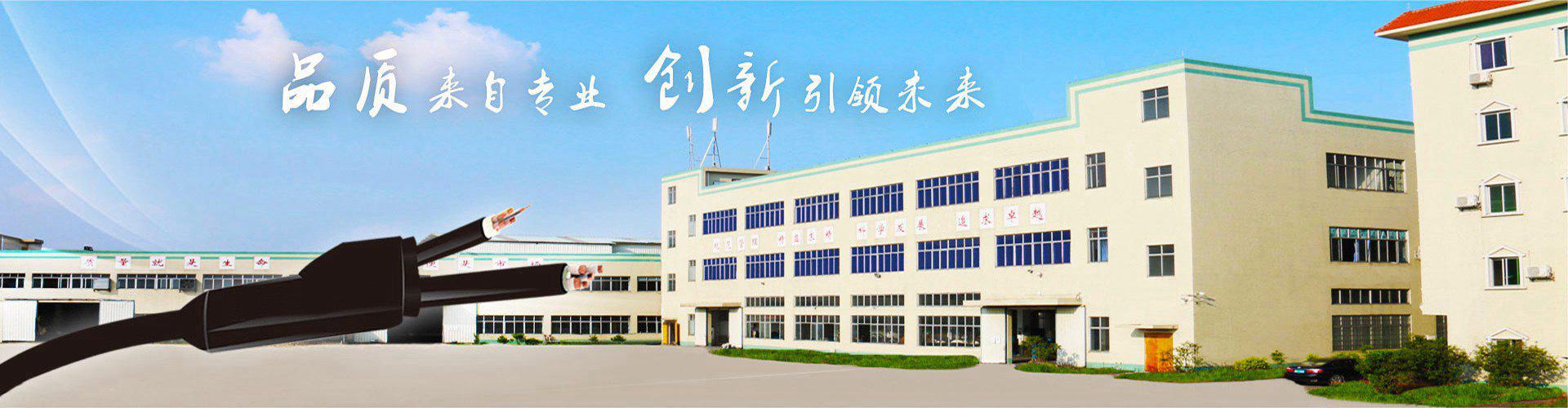 珠江电缆花城