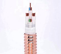珠江电缆YTTW柔性矿物质电缆